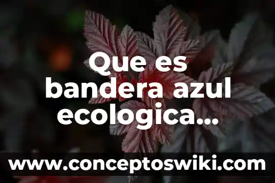 Boyeo en costa rica que es 5 Que es bandera azul ecologica costa rica