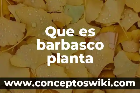 Que es una planta compacta de pretratamiento 7 Que es barbasco planta