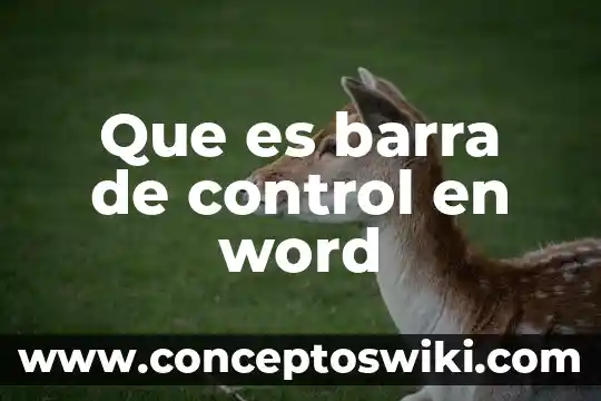 Mecanismos de control metabólico que es 4 Que es barra de control en word