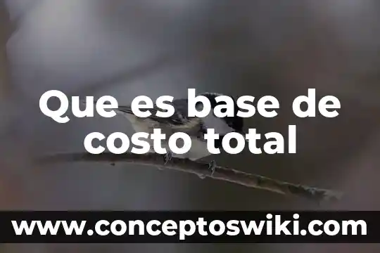 Qué es un ácido y una base significa 6 Que es base de costo total