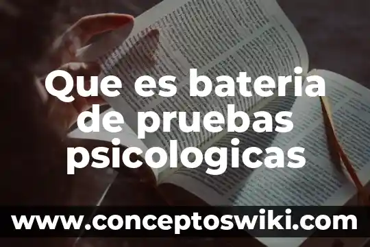 Que es un patio de pruebas 5 Que es bateria de pruebas psicologicas