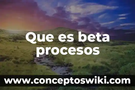 Que es dm en electronica 4 Que es beta procesos
