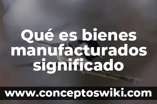 El significado de lo que es un anuncio publicitario 8 Qué es bienes manufacturados significado