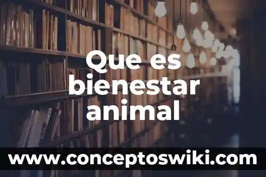 Que es el maltrato animal 3 Que es bienestar animal