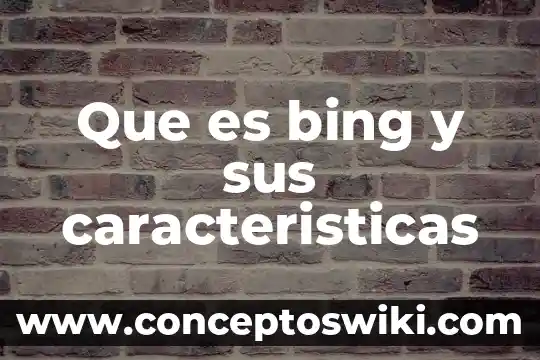Que es comerciante y sus caracteristicas 4 Que es bing y sus caracteristicas