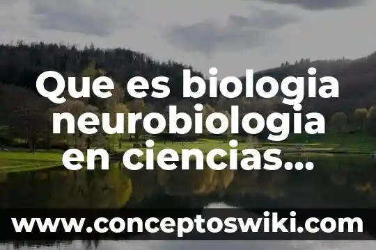 Que es la recreacion en ciencias naturales 6 Que es biologia neurobiologia en ciencias naturales