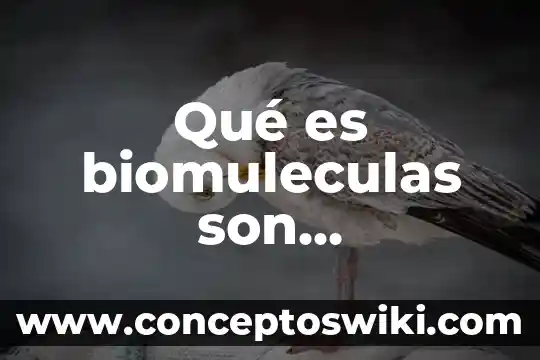 Que es un avatar del sol 7 Qué es biomuleculas son compuestos organicos