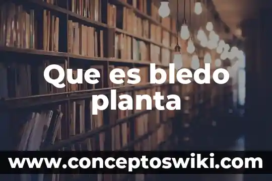 Que es dominacion completa con ejemplos 3 Que es bledo planta