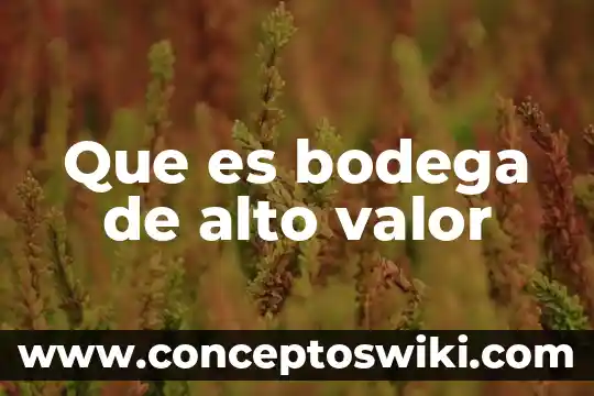 Qué es bodega su significado 3 Que es bodega de alto valor