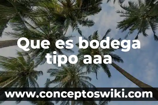 Qué es bodega su significado 4 Que es bodega tipo aaa