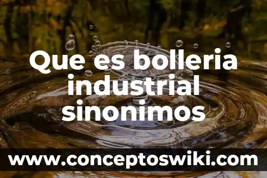 Que es empaque industrial 5 Que es bolleria industrial sinonimos