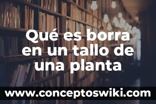 Que es la planta caoba 7 Qué es borra en un tallo de una planta