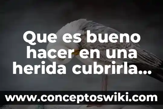 Que es uns escultura de un animal 6 Que es bueno hacer en una herida cubrirla o dejarla
