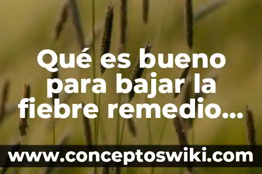 Que es bueno tomar en ayunas para bajar de peso 8 Qué es bueno para bajar la fiebre remedio natural