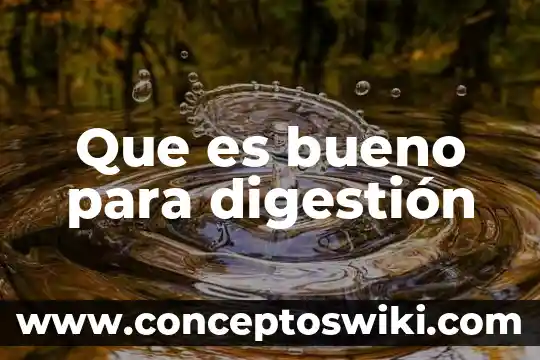 ¿Qué es bueno para el asco de embarazo? 8 Que es bueno para digestión