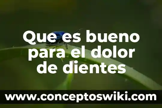 Por que es importante cuidar los dientes de leche 6 Que es bueno para el dolor de dientes