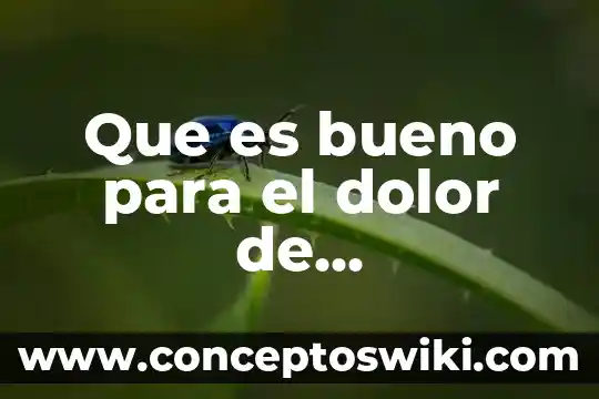 Que es bueno oara el dolor muscular 8 Que es bueno para el dolor de diverticulitis