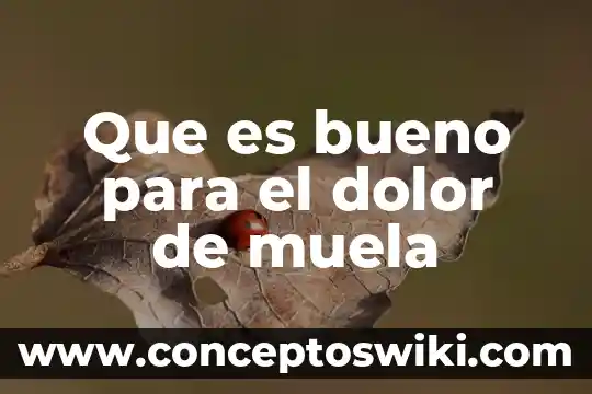 Que es bueno para quitar el dolor de muela 6 Que es bueno para el dolor de muela