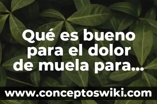Que es bueno para quitar el dolor de muela 8 Qué es bueno para el dolor de muela para niños