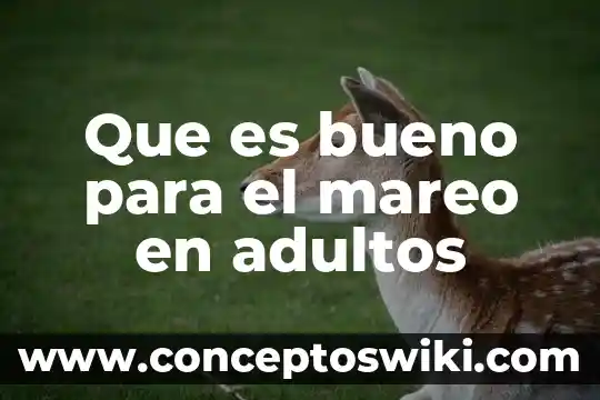 ¿Qué es bueno para el asco de embarazo? 6 Que es bueno para el mareo en adultos