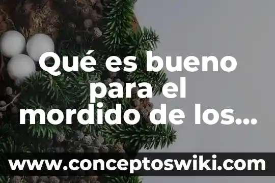 Qué es bueno para la gastroenteritis en bebés 5 Qué es bueno para el mordido de los bebés