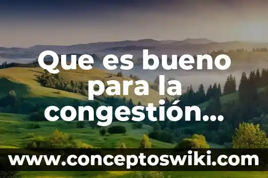 Para que es importante el exudado nasal 3 Que es bueno para la congestión nasal natural