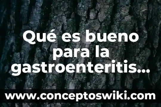Qué es bueno para el mordido de los bebés 5 Qué es bueno para la gastroenteritis en bebés
