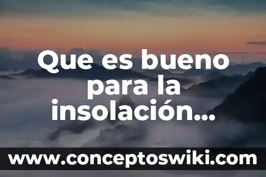 Por que es bueno una amistad 4 Que es bueno para la insolación remedios caseros