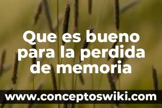 Que es la pérdida de inserción en redes 6 Que es bueno para la perdida de memoria