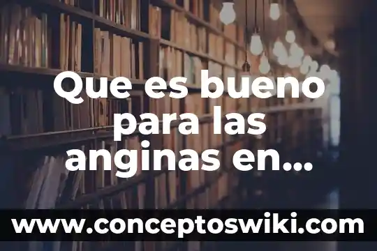 Que es bueno para la insolación remedios caseros 4 Que es bueno para las anginas en perros