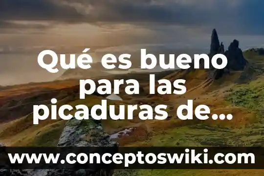 Que es el significado de inadaptados 7 Qué es bueno para las picaduras de pulgas en niños