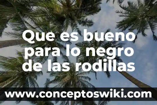 Para que es bueno la planta de ginseng 6 Que es bueno para lo negro de las rodillas