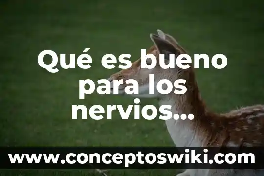 Que es bueno para los nervios de la menopausia 6 Qué es bueno para los nervios alterados