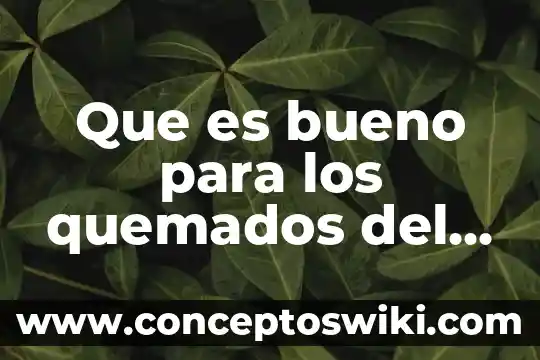 Que es bueno para la insolación remedios caseros 5 Que es bueno para los quemados del sol