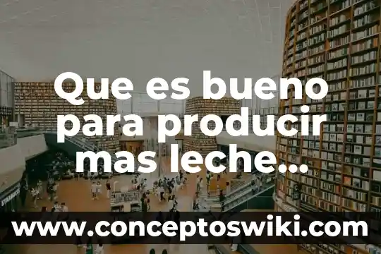 Que es la funcion materna para winnicott 5 Que es bueno para producir mas leche materna
