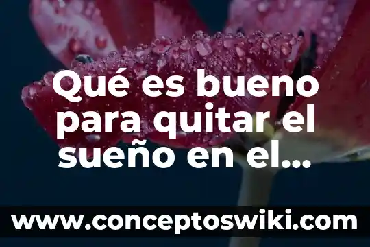 Que es bueno para quitar las flemas 8 Qué es bueno para quitar el sueño en el embarazo