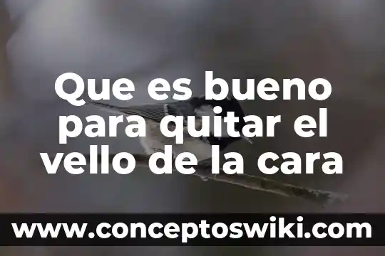 Qué es bueno para quitar el sueño en el embarazo 5 Que es bueno para quitar el vello de la cara