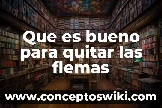 Qué es bueno para quitar el sueño en el embarazo 8 Que es bueno para quitar las flemas