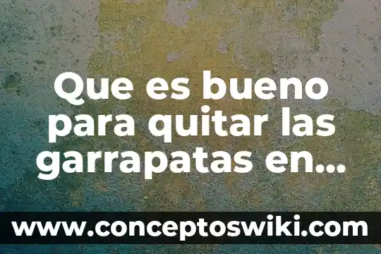 Que es bueno para quitar las quemaduras de sol 4 Que es bueno para quitar las garrapatas en los perros