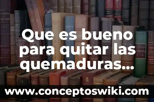 Que es bueno para quitar las garrapatas en los perros 5 Que es bueno para quitar las quemaduras de sol