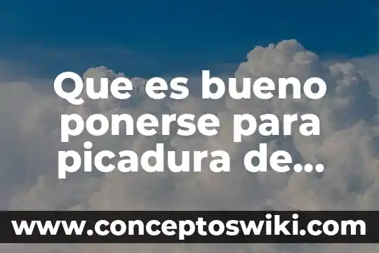 Que es bueno ponerse para quemaduras de sol 3 Que es bueno ponerse para picadura de abeja