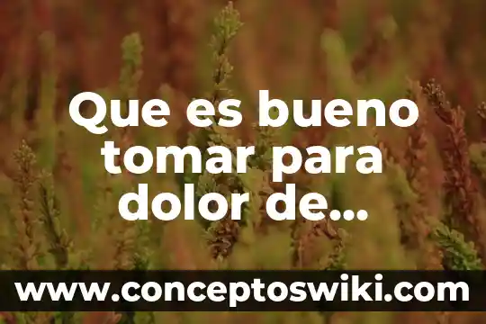 Que es bueno para el dolor de planta del pie 4 Que es bueno tomar para dolor de espalda de alcohol
