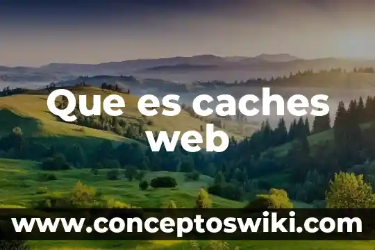 Qué es un nombre de dominio en la web 4 Que es caches web