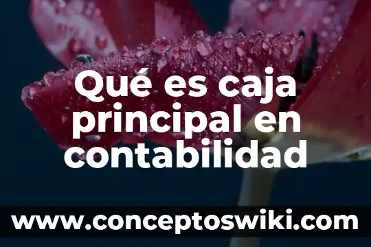 Qué es RN en contabilidad 3 Qué es caja principal en contabilidad