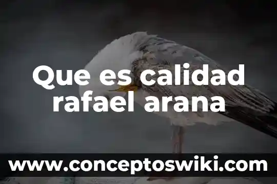 Que es un esquema de sol y araña 6 Que es calidad rafael arana