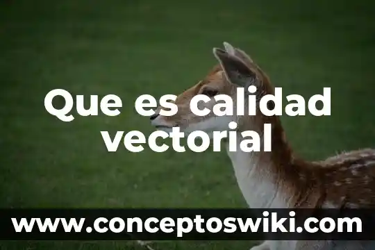 Qué es lineamientos en calidad 4 Que es calidad vectorial