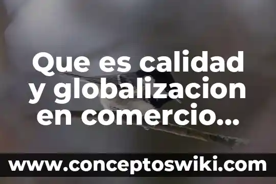 Que es pesaje en comercio exterior 7 Que es calidad y globalizacion en comercio exterior
