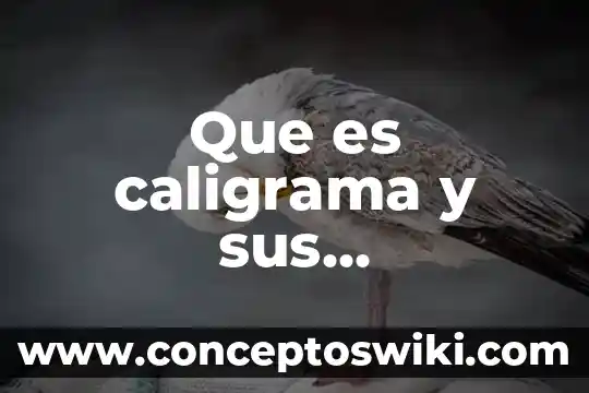 Qué es un catálogo características tipos 8 Que es caligrama y sus caracteristicas