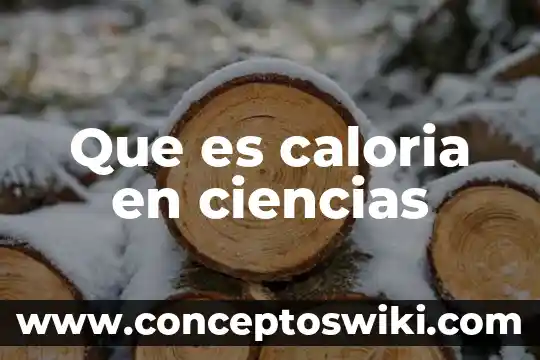 Que es caloria en nutricion animal 3 Que es caloria en ciencias