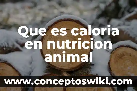 Qué es una caloria concepto 5 Que es caloria en nutricion animal